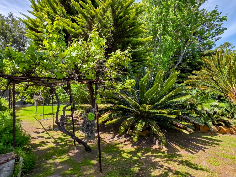 3 Bedroom Property for Sale in Constantia Western Cape